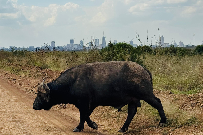 Nairobi Park Safari, Sheldrick's Orphanage & Giraffe Center Shared Drive in Open-Roof Van Game Drive
