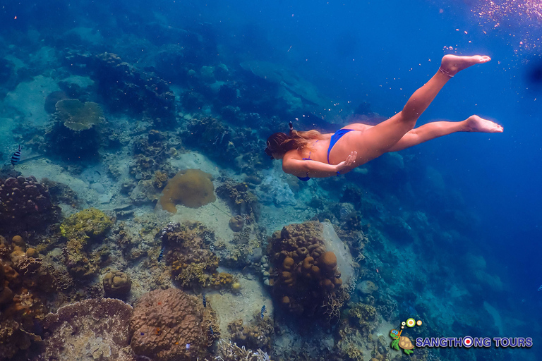 Koh Tao: Excursão de um dia com mergulho com snorkel nas ilhas e almoçoKoh Tao: Ilhas Snorkeling Destaques Day Tour &amp; Almoço
