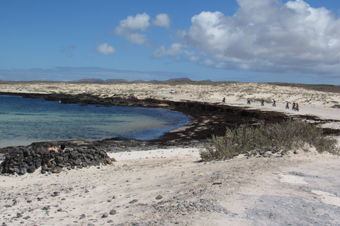 E-Biking zwischen VulkanenMit dem E-Bike durch die Vulkanlandschaft