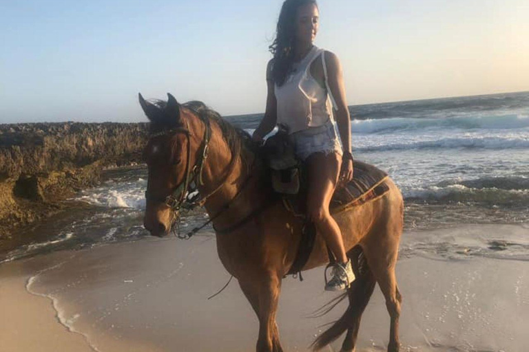 Aruba: Sunrise Horseback Riding Tour with Hotel Transfer