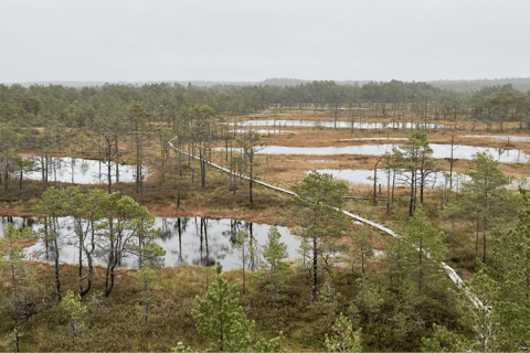 The Estonian Day Retreat at Lahemaa National Park