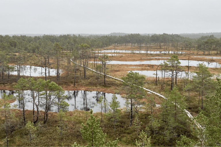The Estonian Day Retreat at Lahemaa National Park