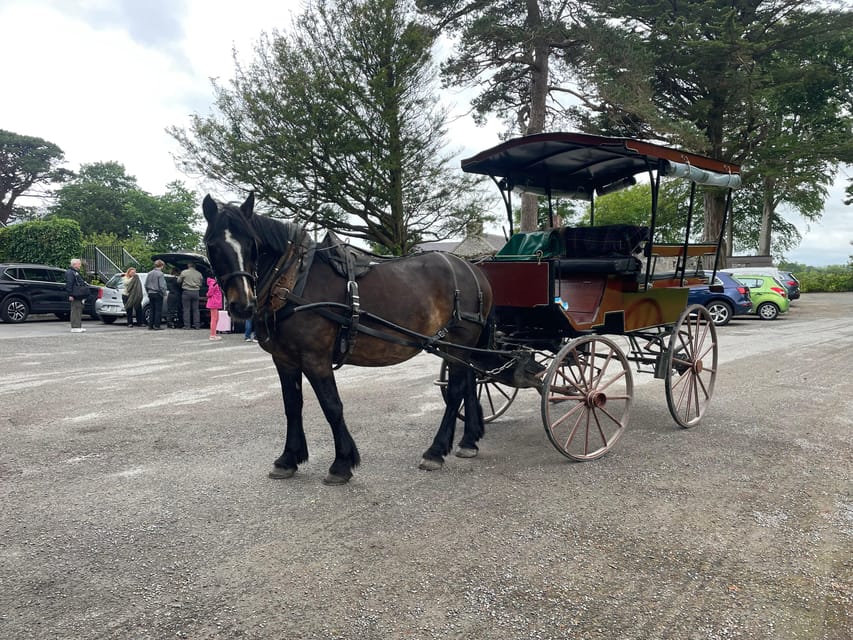 Giro in carrozza trainata da cavalli e cesto da picnic
