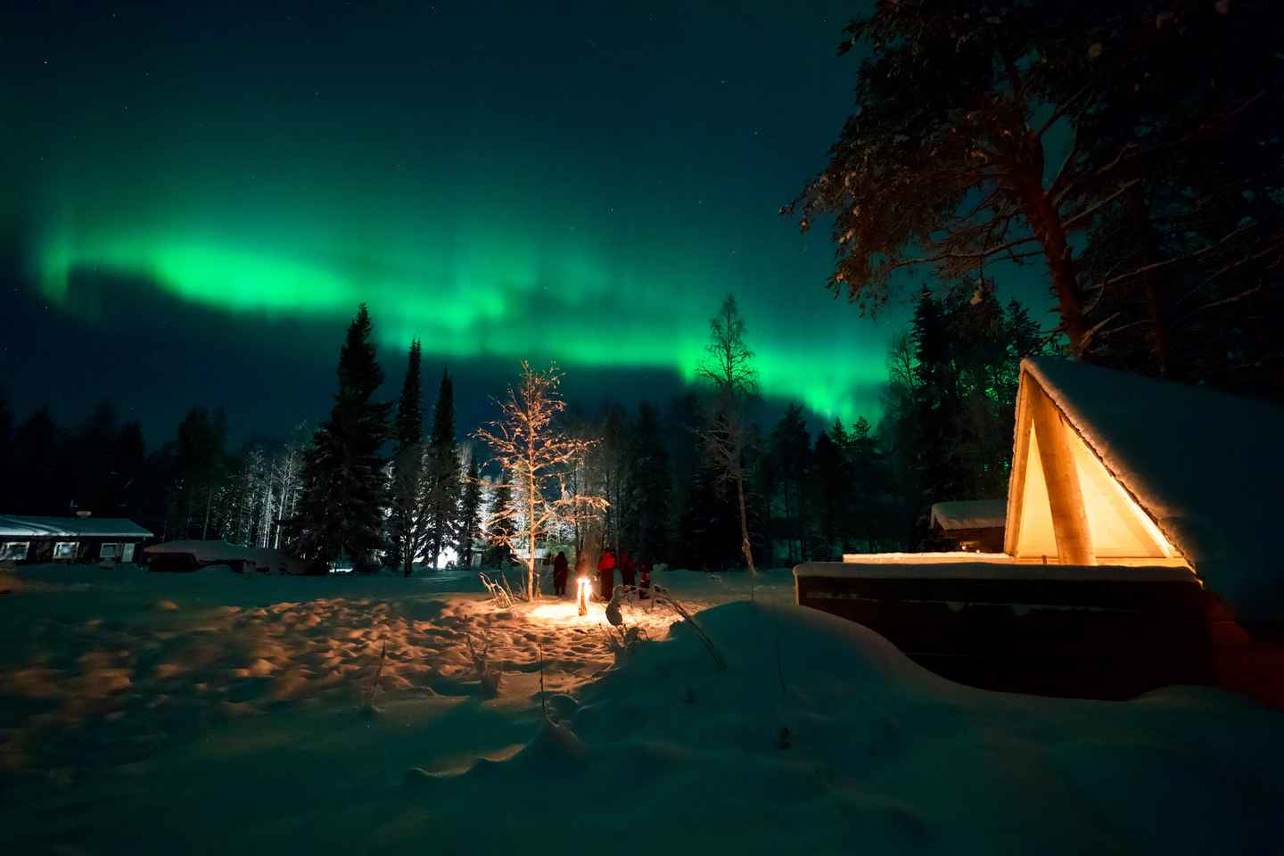 Northern Lights Tour in Atmospheric Cottage