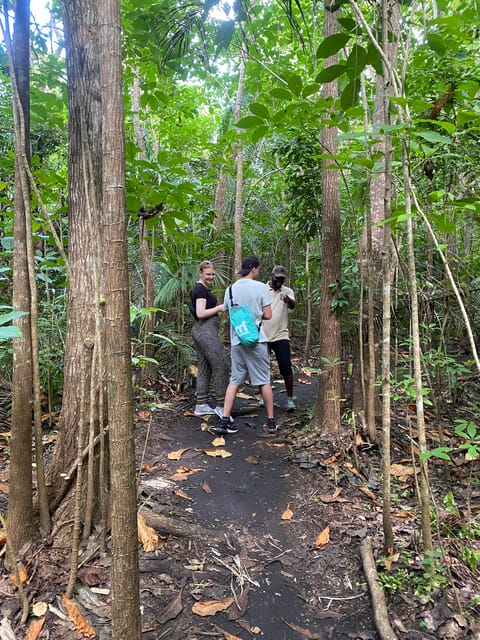 Zanzibar: Jozani Forest and Maalum Natural Swimming pool | GetYourGuide