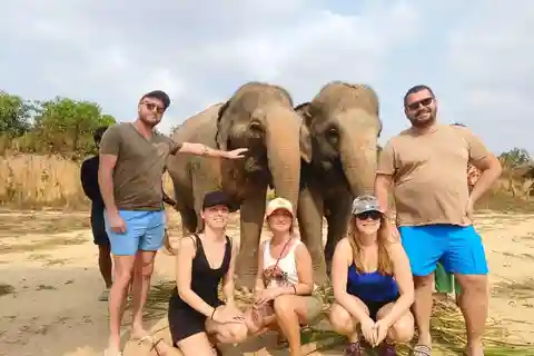 Experiências de um dia com elefantes no Camboja a partir de Siem Reap