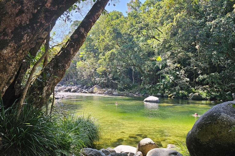 Mossman: Viaggio nella foresta pluviale di Daintree con crociera con i coccodrilli