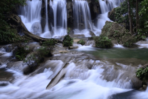 San Cristobal - 4 dias de Kayak na Selva LacandonaEm cabine (Yaaxcan) com banheiro privativo fora da selva