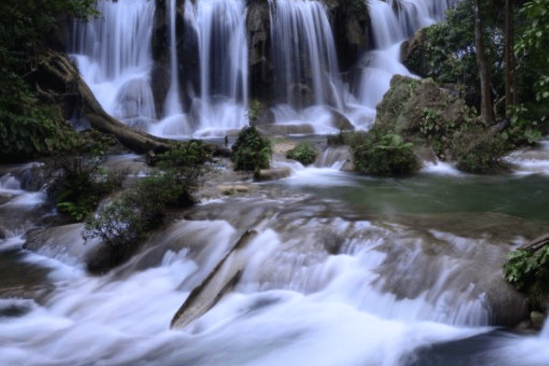 San Cristobal - 4 dias de Kayak na Selva LacandonaEm cabine (Yaaxcan) com banheiro privativo fora da selva