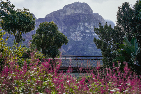 Jardin botanique de Kirstenbosch et vallée viticole de Constantia