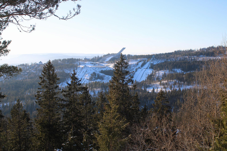 Panoramagipfel – Oslos beste Wanderung mit Blick auf die FjordePanoramische Gipfel – Oslos beste Wanderung mit Fjordblick
