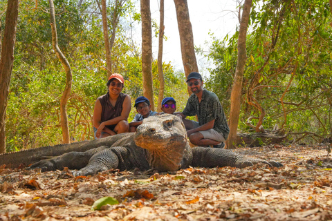 Komodo Ultimate Escape: Fast Boat Full Day Island Adventure