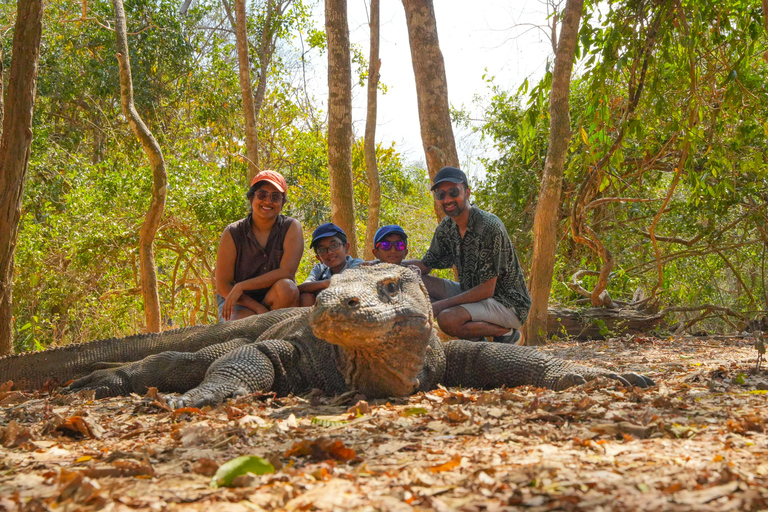 Komodo Ultimate Escape: Fast Boat Full Day Island Adventure