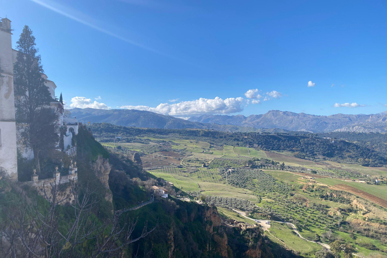 from Mijas, Malaga: Private tour Ronda incl. transfer, bullfighting arena and tapas