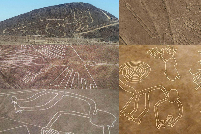 Vanuit Ica: Nazca Lines vlucht met ophaal- en terugbrengservice naar je hotel