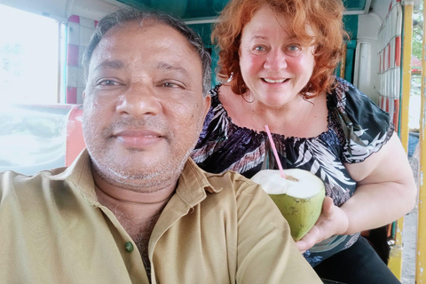 Kochi: Tuk-Tuk Tour with Cruise Ship Terminal Pickup