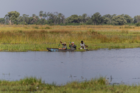 Mokoro Safari Experience in the Okavango Delta