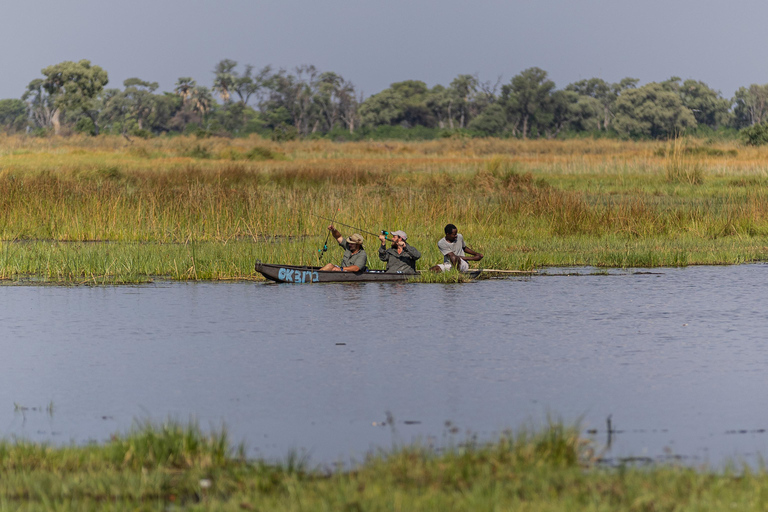 Mokoro Safari Experience in the Okavango Delta