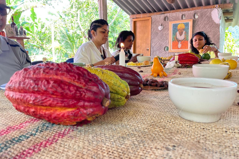 MEDELLÍN: SCHOKOLADENTOUR &amp; PEELING IM SCHÖNEN FLUSS!Medellín: Private Führung durch die Kakao-Farm