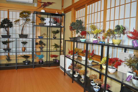 Kyoto: Dry Bonsai Workshop