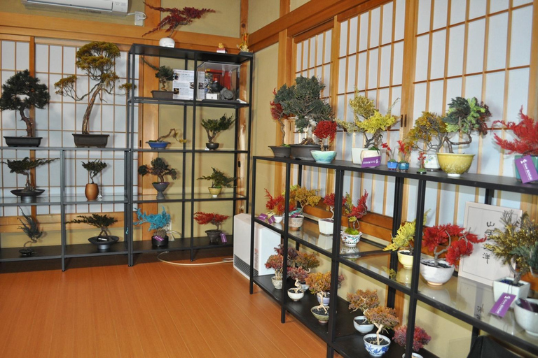 Kyoto: Workshop de bonsai seco