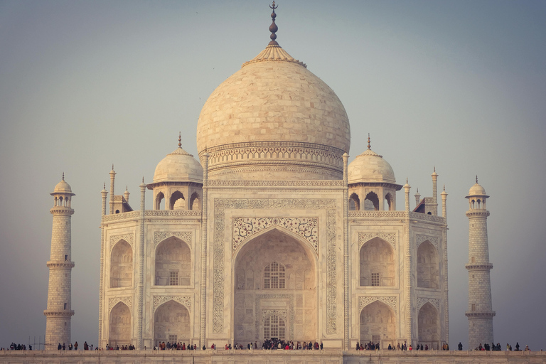 Desde Delhi: Visita al Taj Mahal al amanecer y al Fuerte de Agra en coche con aire acondicionado