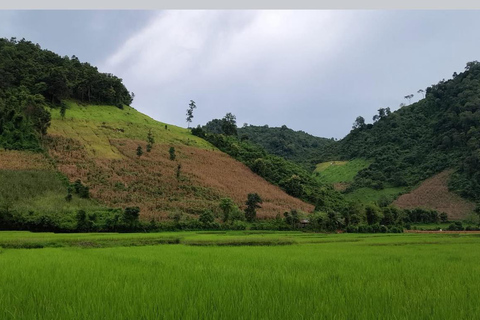 Luang Prabang: Guided Rice Field Bike Tour with Ferry Ride