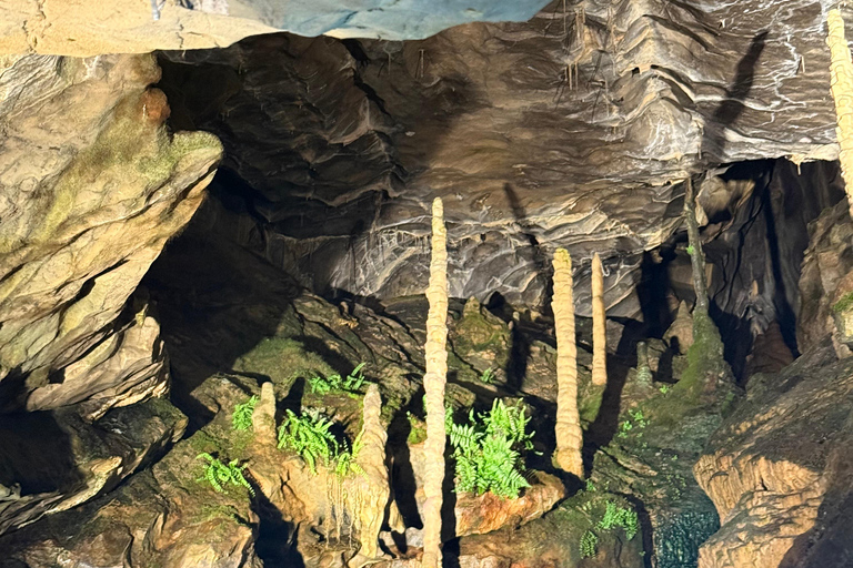 Interlaken: Tour zu den St. Beatus-Höhlen mit Abholung vom HotelInterlaken: St. Beatus-Höhlen-Tour mit Abholung vom Hotel