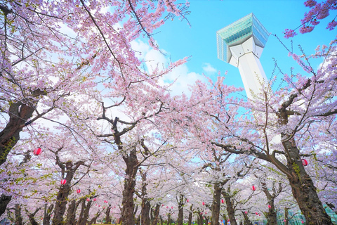 Hokkaido Hakodate 2D1N Tour en autobús por los Cerezos en Flor desde Sapporo2 Personas/1 Habitación