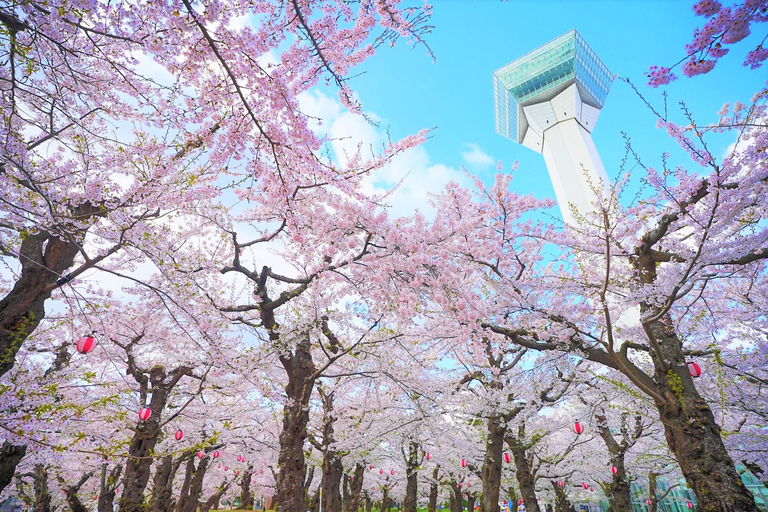 Hokkaido Hakodate 2D1N Cherry Blossoms Bus Tour from Sapporo 2 Peoples/1 Room