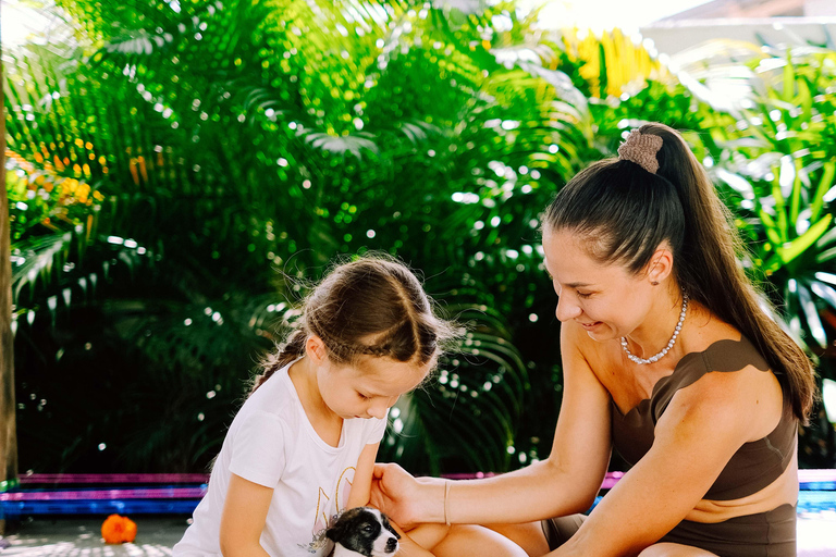 Yoga para cachorros felices en Canggu