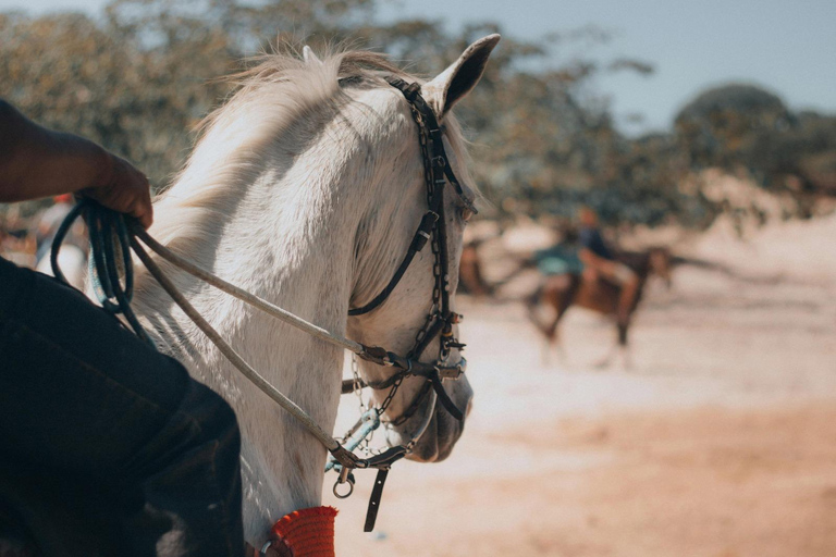 Riyadh Hidden Oasis: Mountain Horseback Riding Adventure