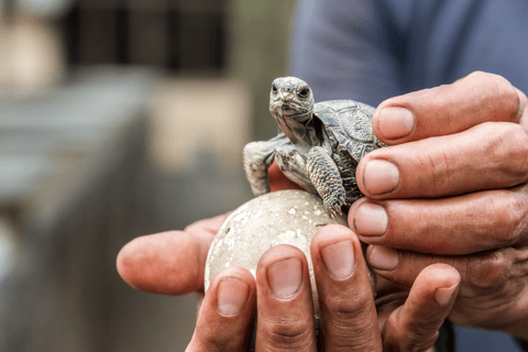 Tour de 9 días al aire libre en Galápagos