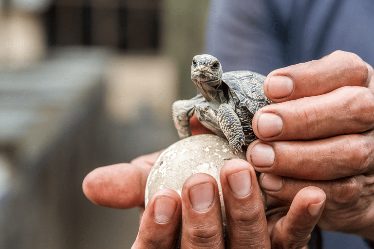 Galapagos Buiten 9 Dagen Tour