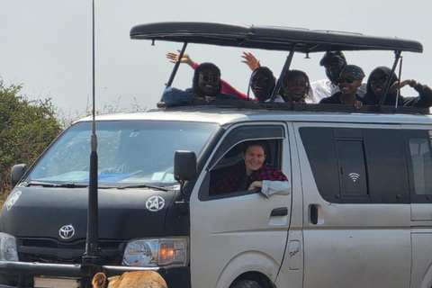 Nairobi National Park&Elephant Orphanage&Giraffe Centre Tour