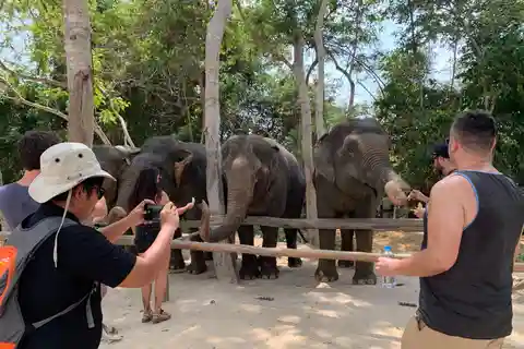 Kulen Elephant Forest & Tonlesap Lake Include boat /Transfer