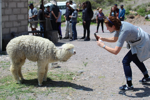 Arequipa : 3 jours de trekking dans le canyon de Colca