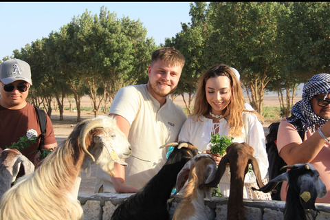 Hurghada Qattar Mountain Adventure: 4WD & Stargazing Hurghada: Gattar Mountain,Off-Road & lunch