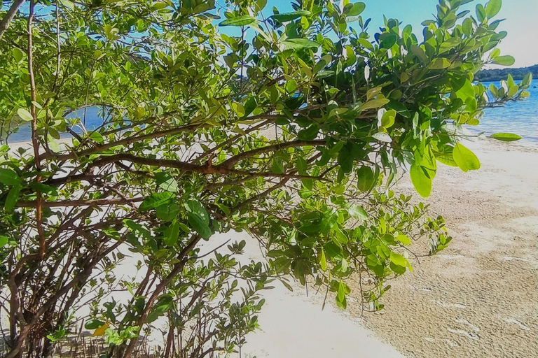 Salvador: Private Boat Tour at Frades Island