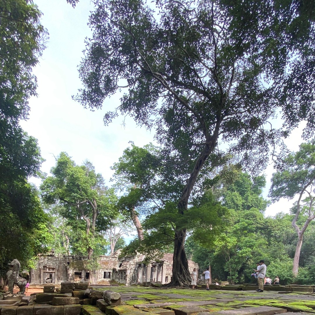Colagem de mídia