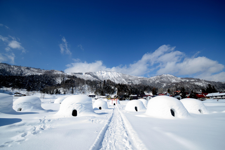 Nagano: Zenko-ji Temple, Snow Village & Monkey Park Tour