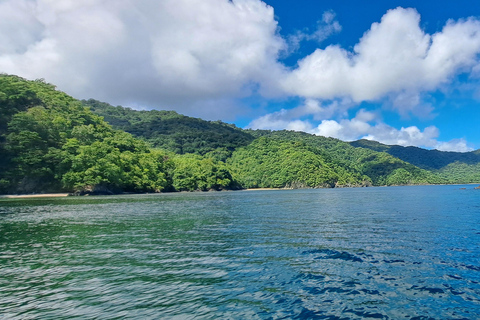 Buccoo Reef and Nylon Pool Adventure