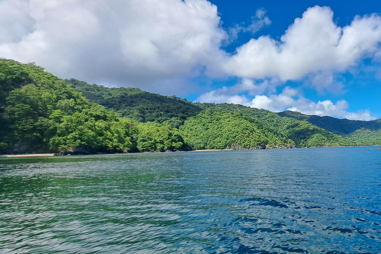 Buccoo Reef and Nylon Pool Adventure