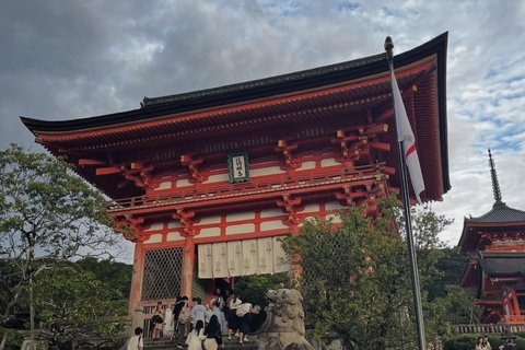 Kyoto: Private Tour with Nara included and English Driver