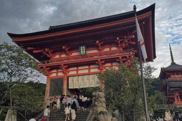 Kyoto: Private Tour with Nara included and English Driver