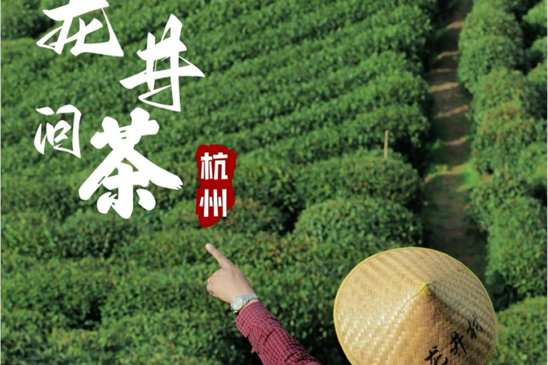 Classic Travel：Shanghai & Suzhou & Hangzhou & One- day tour Shanghai to Hangzhou Private Day Trip