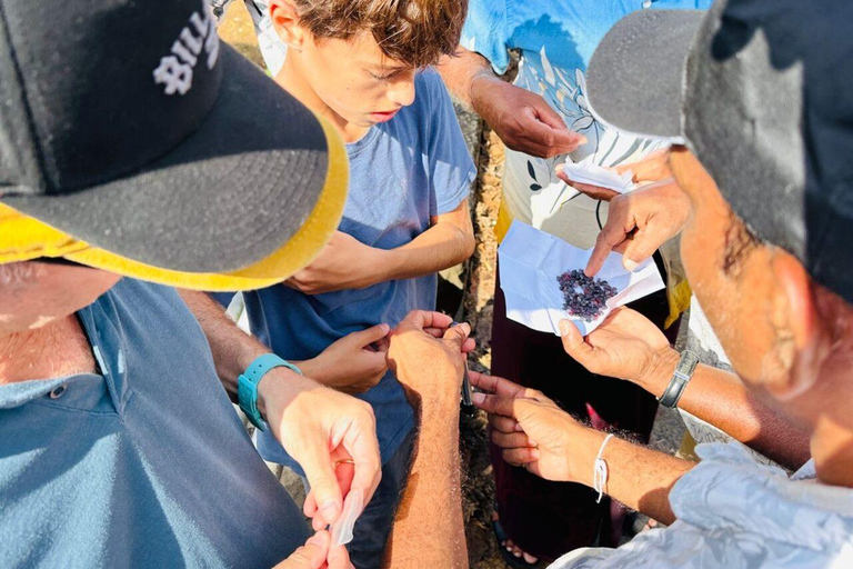 From Colombo: Ratnapura Gem, Tea & Spice Day Tour