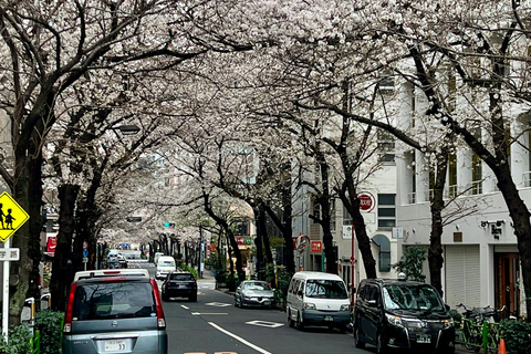 Tokyo - en dag En dag Charter Privat tur med engelsk förare