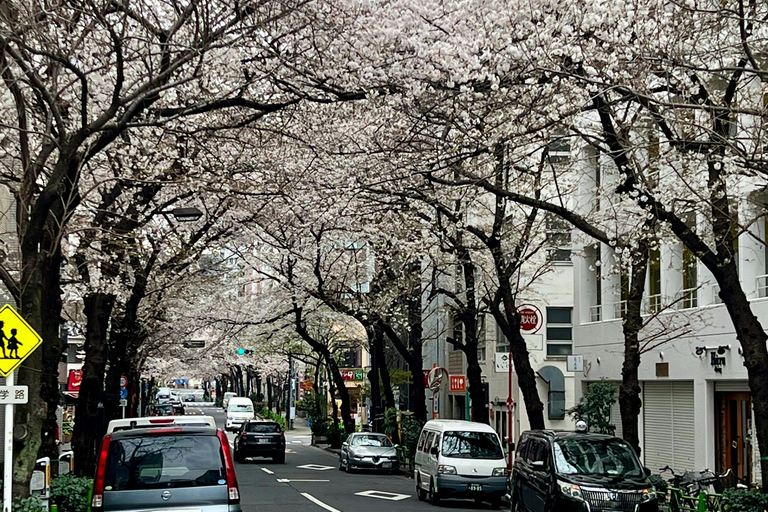 Tokyo - en dag En dag Charter Privat tur med engelsk förare