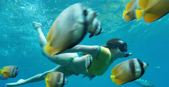 Nusa Penida: 3-Spot Snorkeling at SD, Gamat & Wall